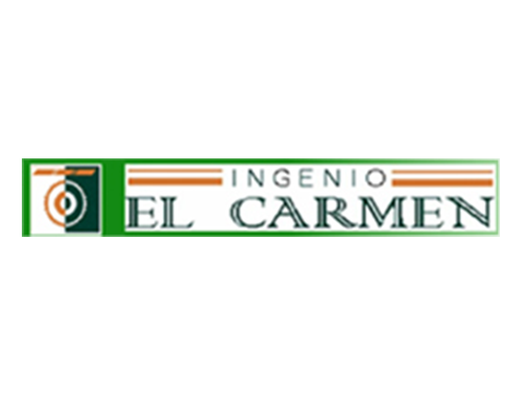 Logo 13
